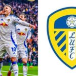 Leeds United Roar Back to the Premier League: Promotion Secured Under Daniel Farke!