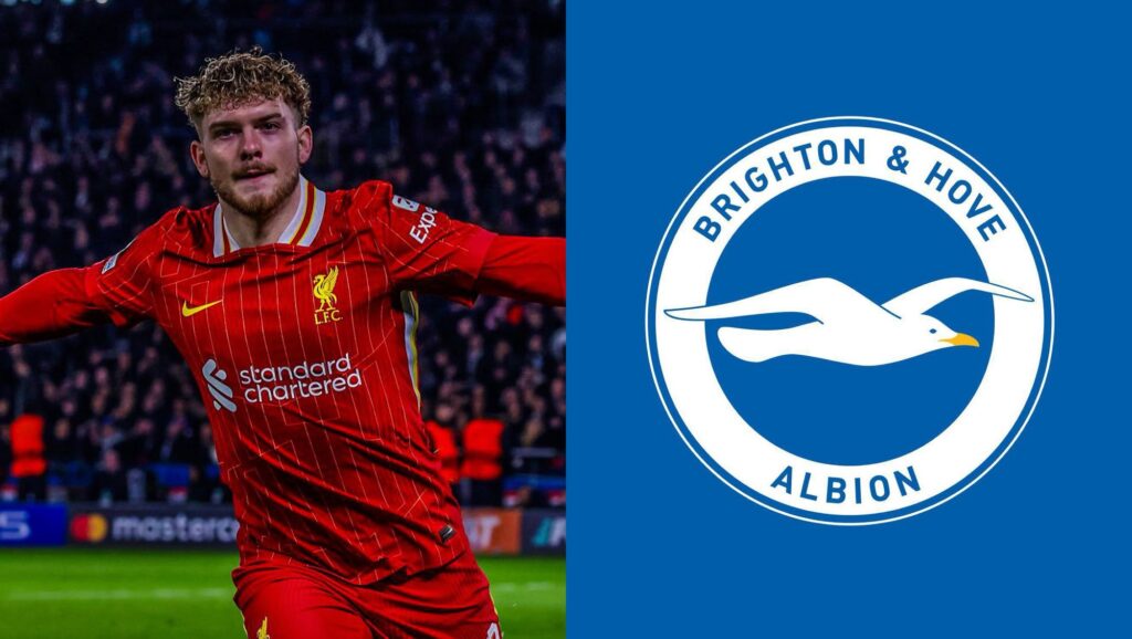 Brighton Preparing Stunner £40m Bid for Liverpool’s Harvey Elliott