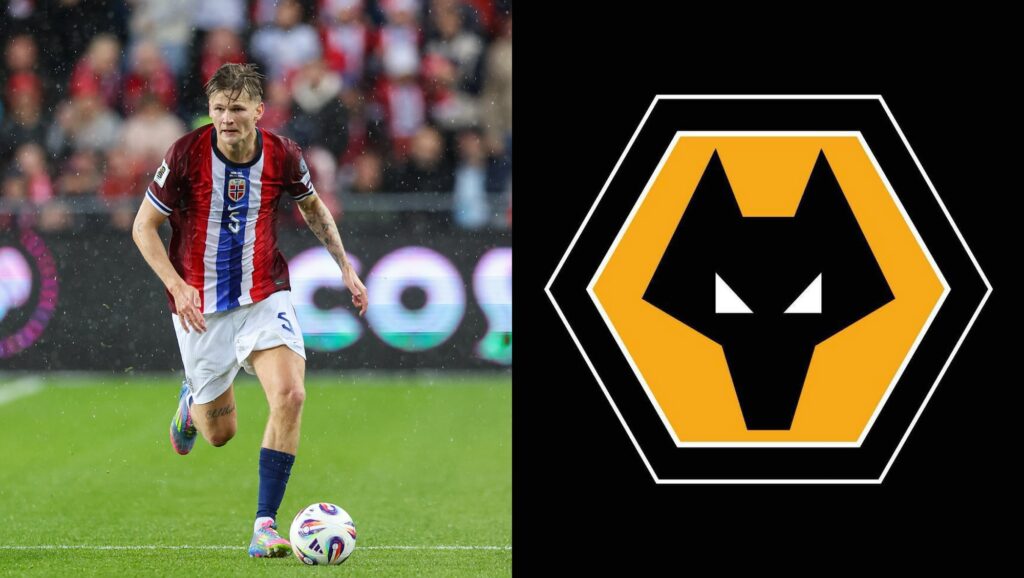Wolves Land David Møller Wolfe from AZ Alkmaar